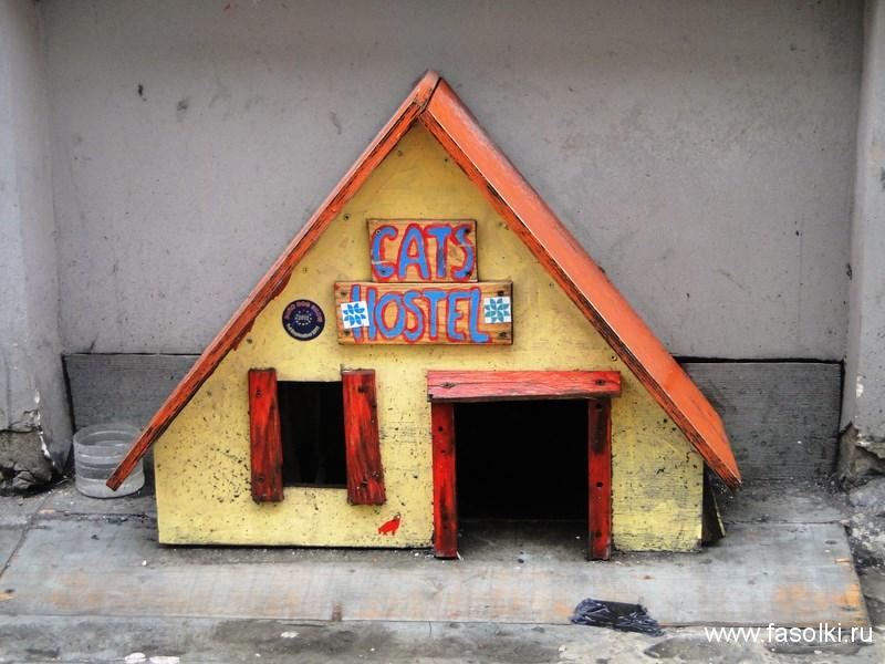 Кошкин дом в Риге